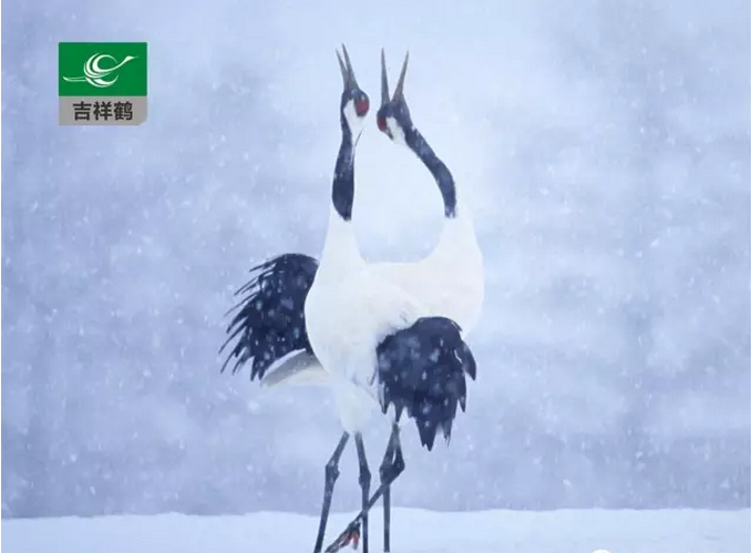 MG動(dòng)畫淺談聲音的創(chuàng)作